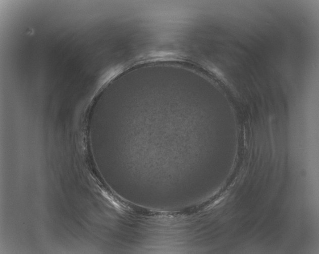 X0000068741405200605011013