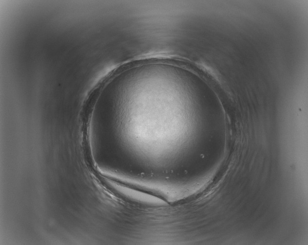 X0000068741406200605011013