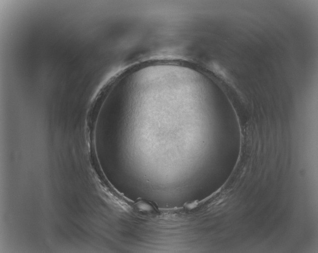 X0000068741408200605011013