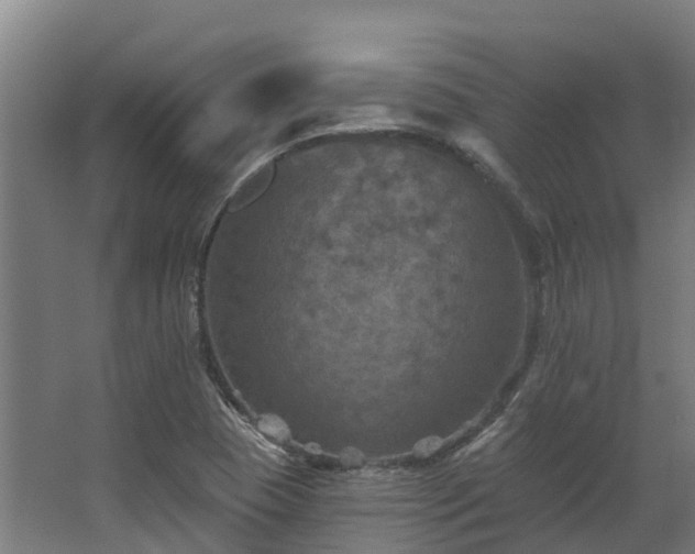 X0000068741409200605011013