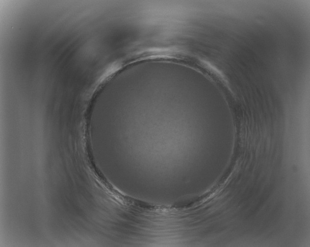 X0000068741411200605011013