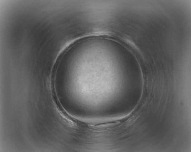 X0000068741412200605011013