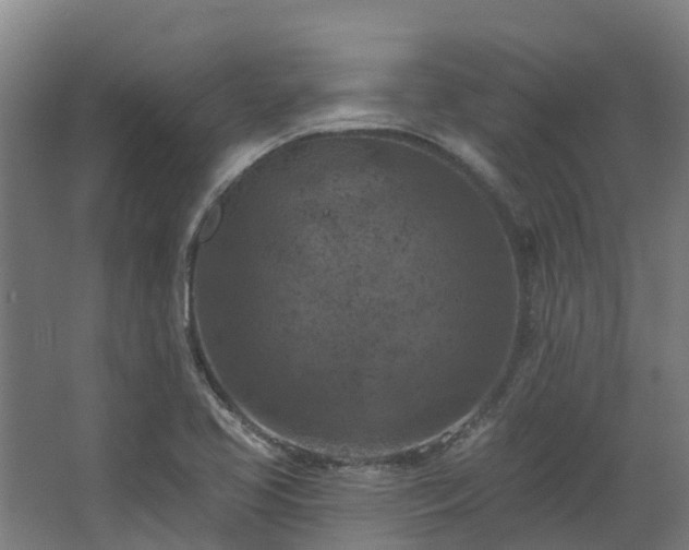 X0000068741413200605011013