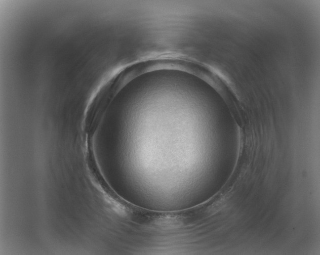 X0000068741414200605011013