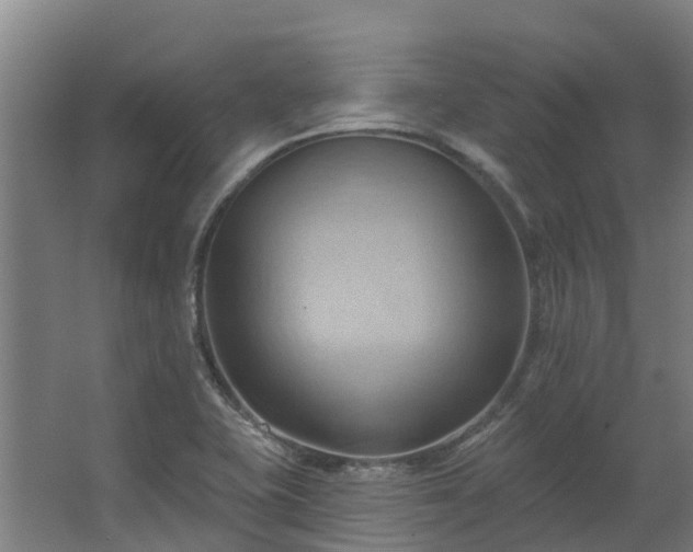 X0000068741415200605011013