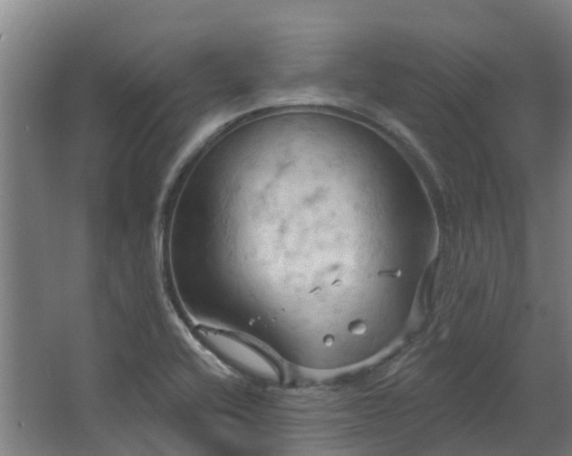 X0000068741416200605011013