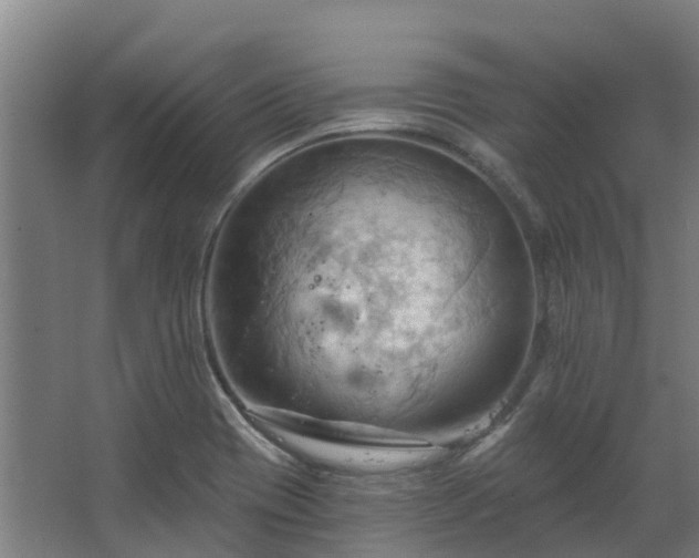 X0000068741417200605011013