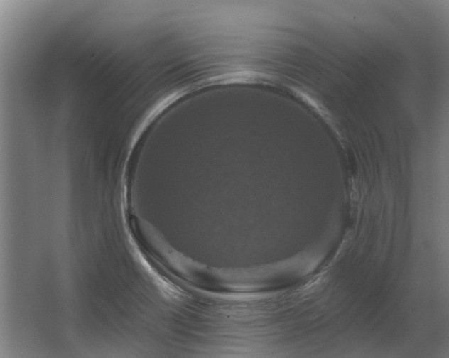 X0000068741418200605011013