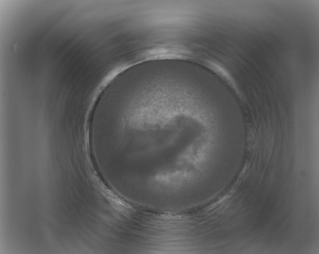 X0000068741419200605011013