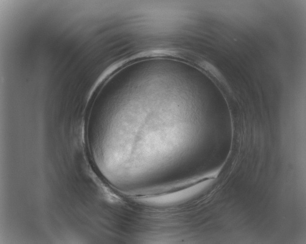 X0000068741420200605011013