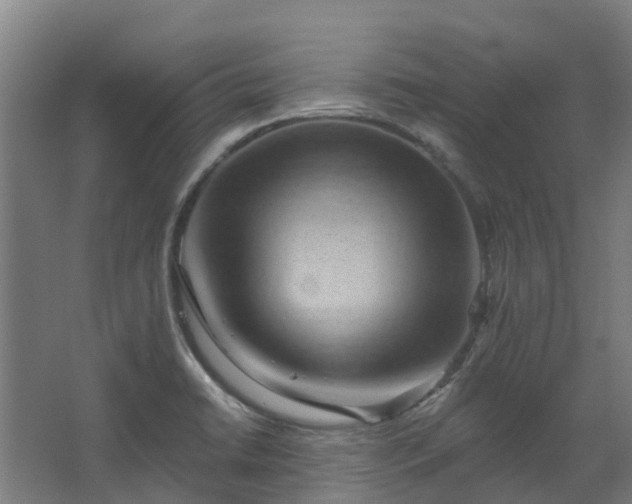 X0000068741422200605011013