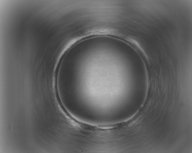 X0000068741424200605011013