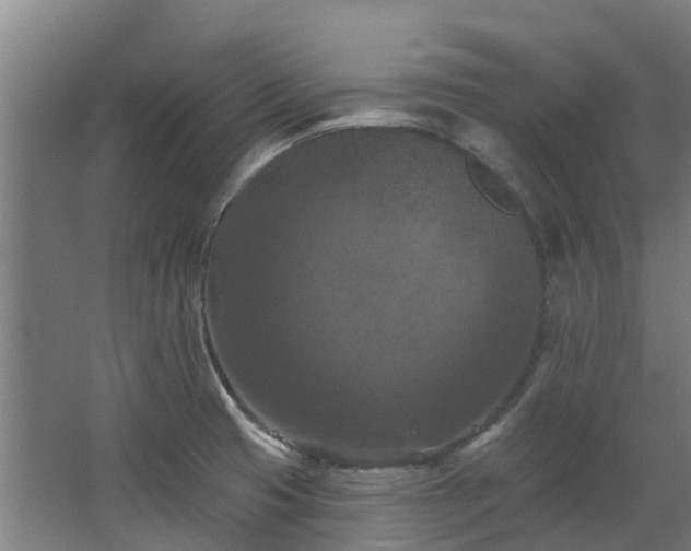 X0000068741425200605011013