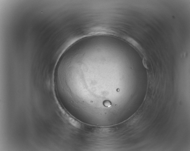 X0000068741431200605011014