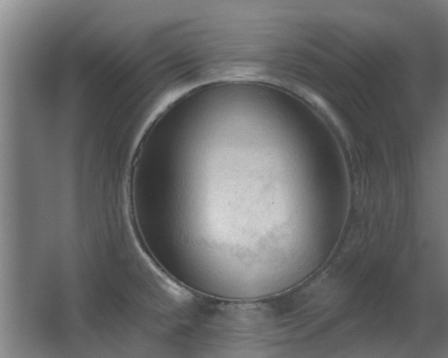 X0000068741432200605011014