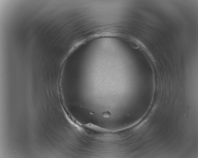 X0000068741433200605011014