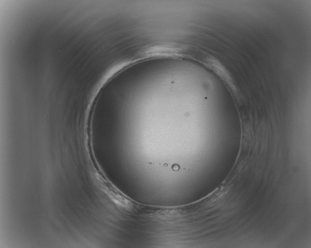 X0000068741435200605011014