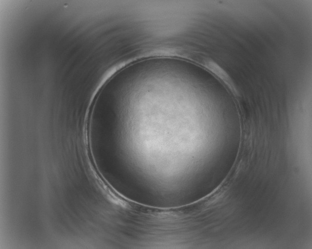 X0000068741436200605011014