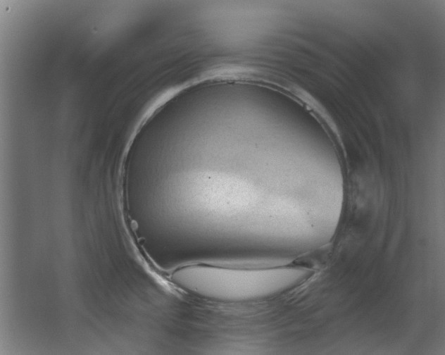 X0000068741437200605011014