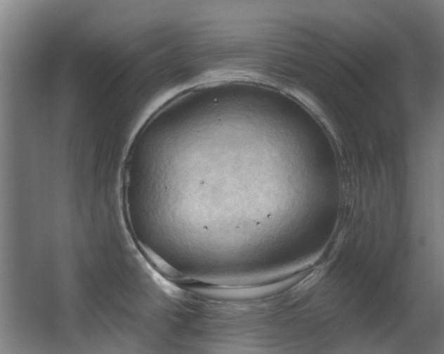 X0000068741438200605011014