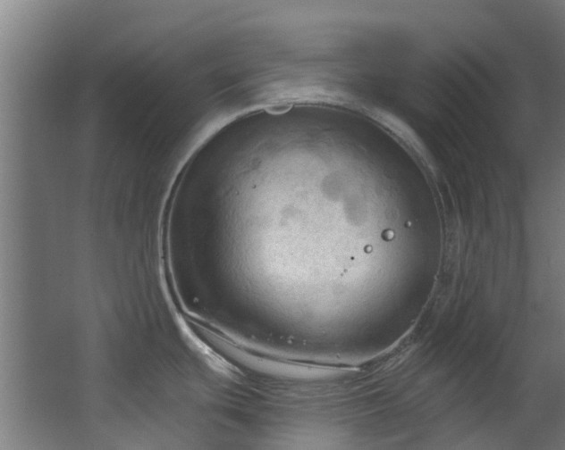 X0000068741439200605011014