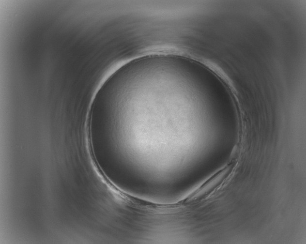 X0000068741440200605011014