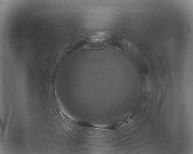 X0000068741441200605011013