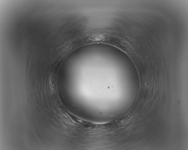 X0000068741442200605011013