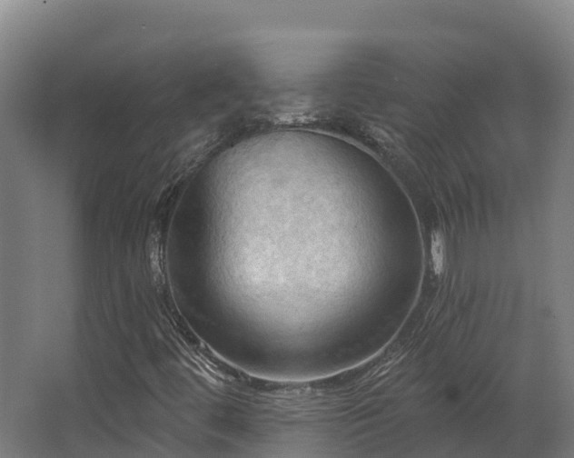 X0000068741444200605011013