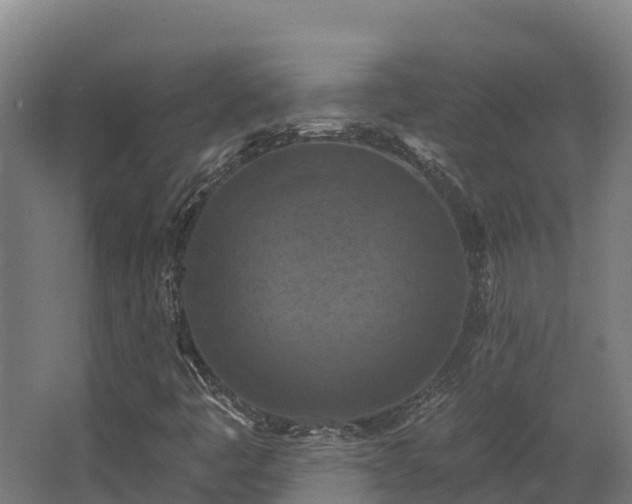 X0000068741445200605011013