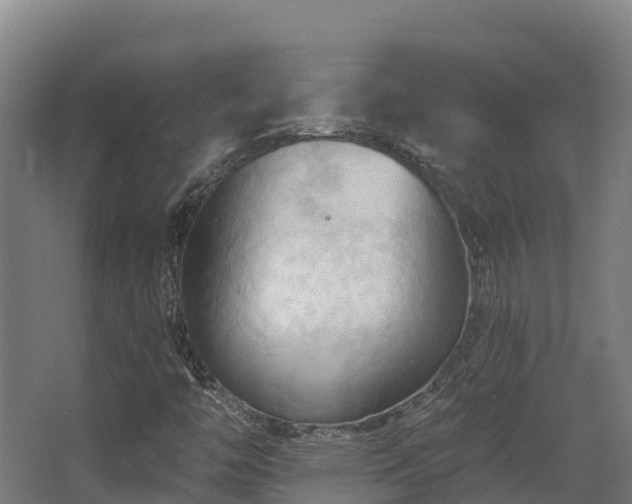 X0000068741446200605011013