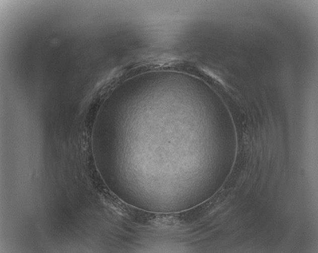 X0000068741447200605011013