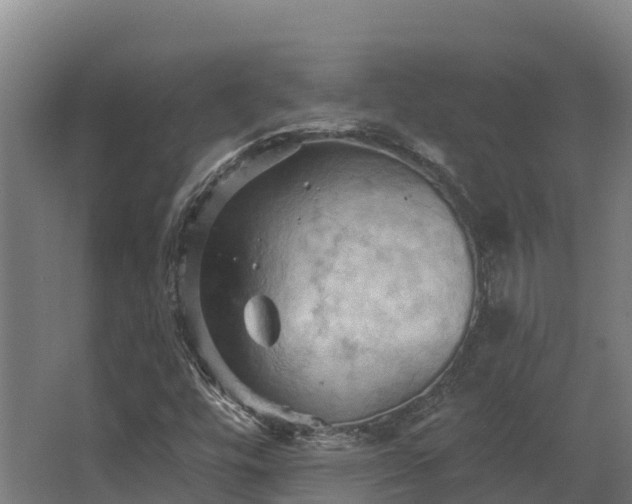 X0000068741448200605011013