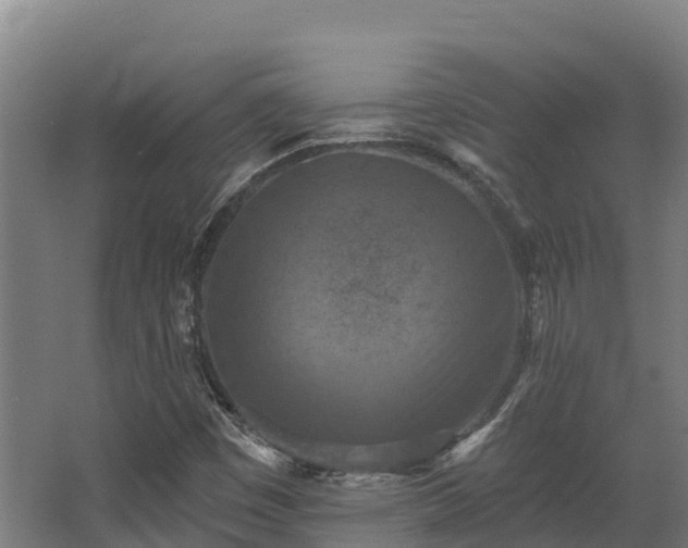 X0000068741449200605011013