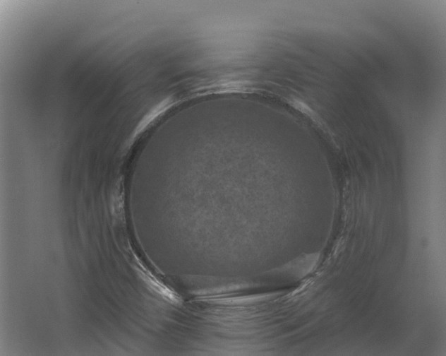 X0000068741450200605011013