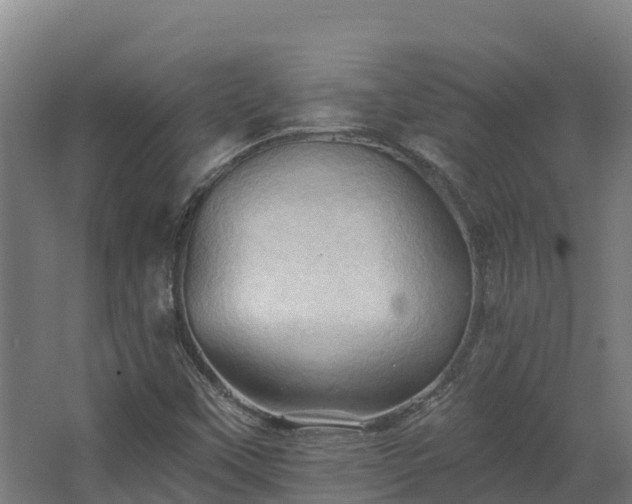 X0000068741451200605011013