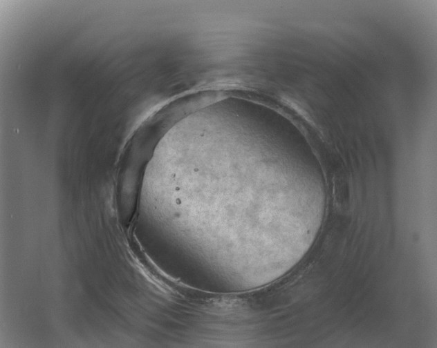 X0000068741452200605011013