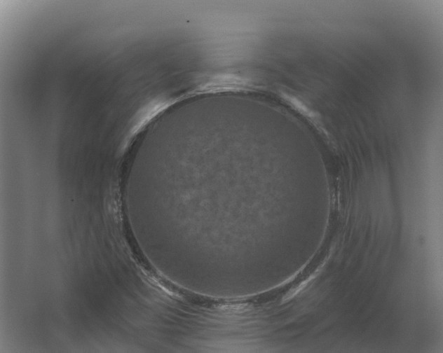 X0000068741453200605011013