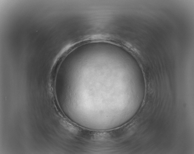 X0000068741454200605011013