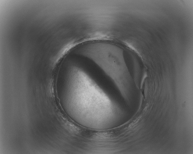 X0000068741455200605011013