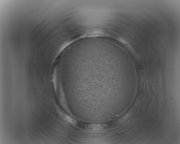 X0000068741457200605011013