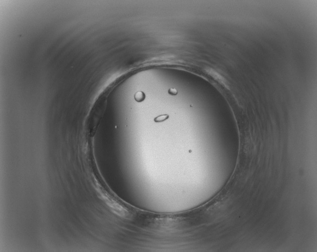 X0000068741458200605011013