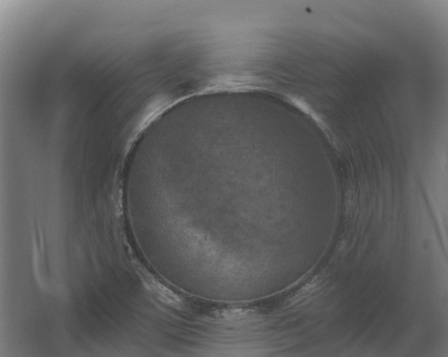 X0000068741459200605011013