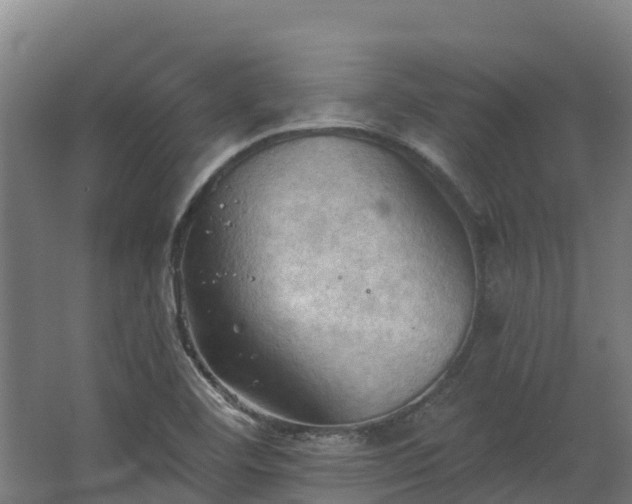 X0000068741460200605011013