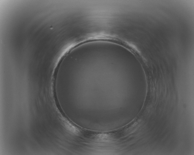 X0000068741463200605011013