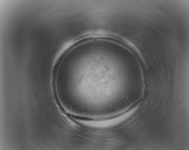 X0000068741464200605011012