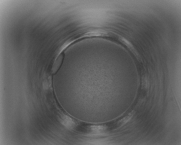 X0000068741465200605011012