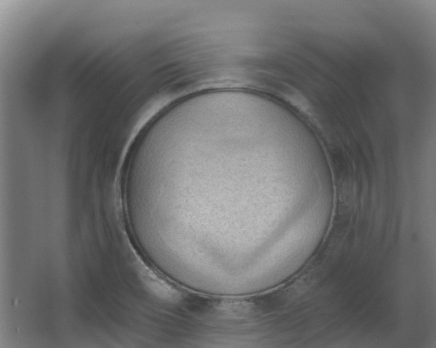 X0000068741466200605011012