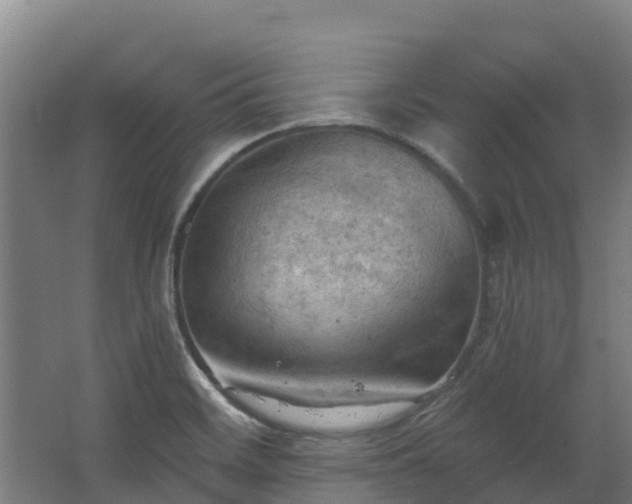 X0000068741468200605011012