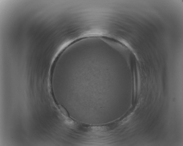 X0000068741469200605011012